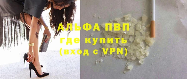 индика Алзамай