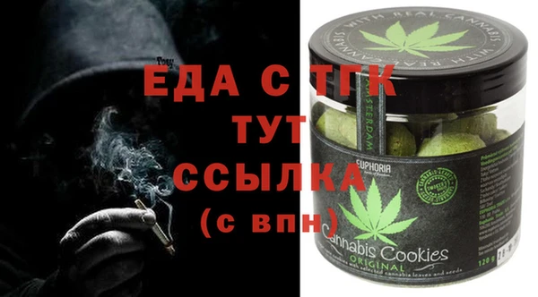 индика Алзамай