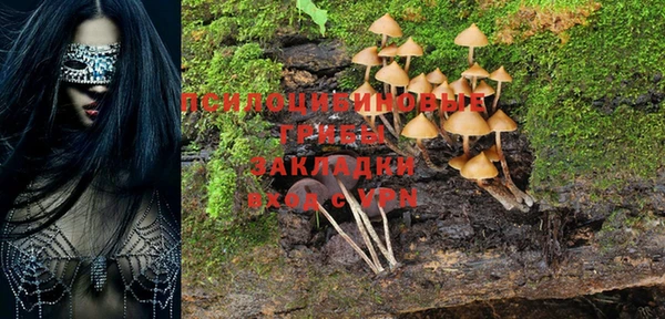 амфетамин Алексеевка