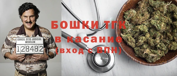 индика Алзамай